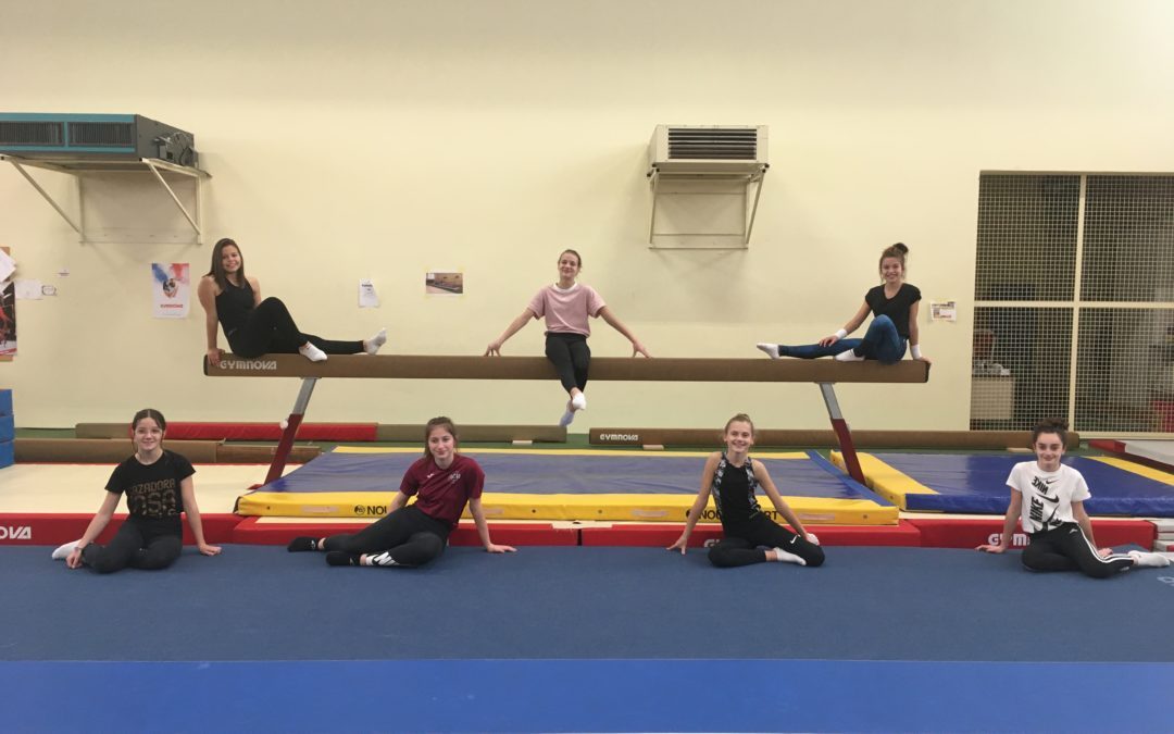 Des gymnastes 3.0