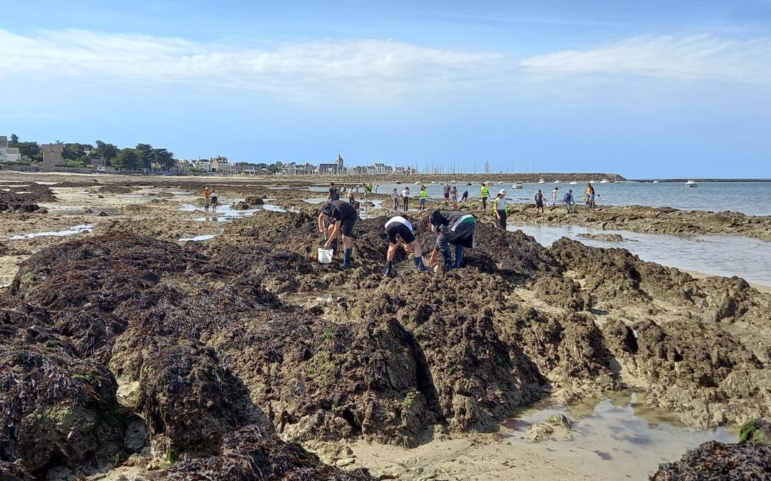 Séjour d’intégration pour les sixièmes : deux jours à Piriac-sur-Mer !